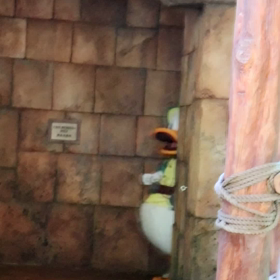 張り切るドナルド❤️の画像