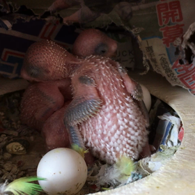 かわいすぎる〜(((o(*ﾟ▽ﾟ*)o)))♡の画像