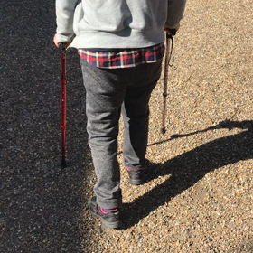 杖で参拝の画像