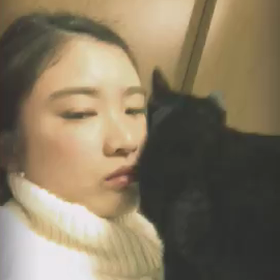 ミストラル 1/23土曜日の画像