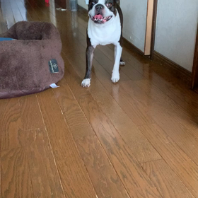 公演再開‼︎の画像