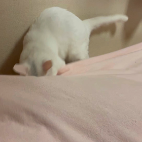 お盆休みの画像