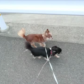 調子良くなりました。の画像