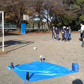 11月19日 「投」練習①の画像