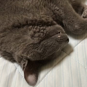 現状のご報告です。の画像