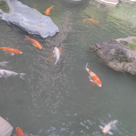 時のごちそうを自分に与えるの画像