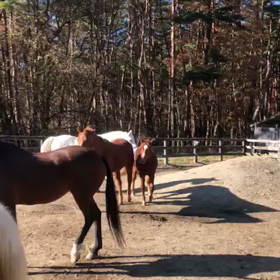 親離れの時の画像