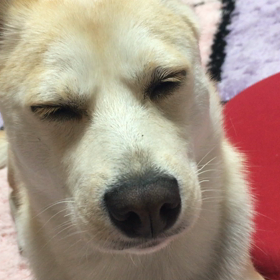 眠る 魔法 ？の画像