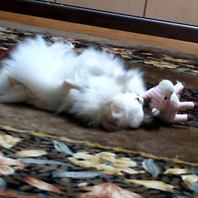 杏珠のひとりあそびの画像