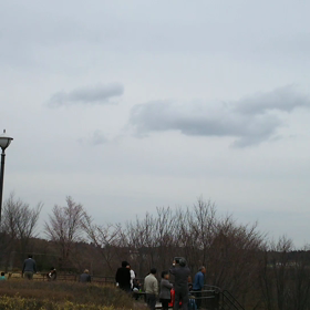 さくらの山公園の画像