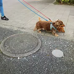 昨日のですが…の画像