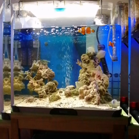 ”海水魚水槽の立ち上げ準備中【　StayHome　で　DIY　⑥の3　】”の画像