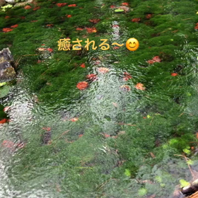 癒される水の流れの画像