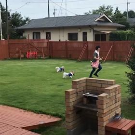 走る(#^.^#)の画像