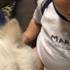 愛が強いの画像