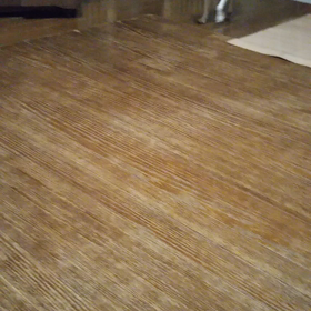 バニラちゃん可愛すぎます❤️の画像