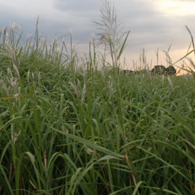 sky park part 8の画像