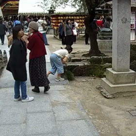 さえりんの❤️だ⁉️ダ‼️大宰府天満宮⛩️さんぱいの画像