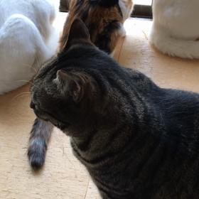 いってらっしゃいの画像