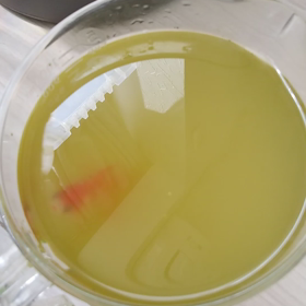 あはーん(T_T)の画像