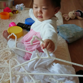 今日のモンちゃんの画像