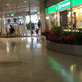 8日振りの再会♪の画像