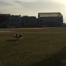 グランドで！の画像