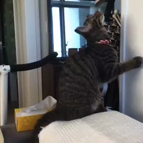 フウタくん近況の画像