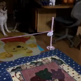 行け〜ジャンプだ！の画像