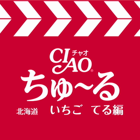 ちゅーるメーカー第二弾の画像