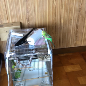 友達からの連絡(雑談)の画像