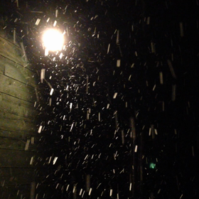 富良野の初雪の画像