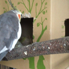 育児真っ最中の画像