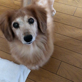 放射線治療7回目の朝。絶食だから食べれないんだよ〜〜の画像