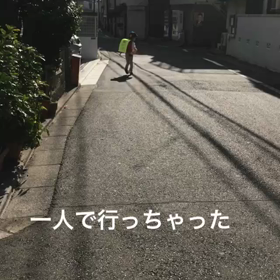 行っちゃったの画像