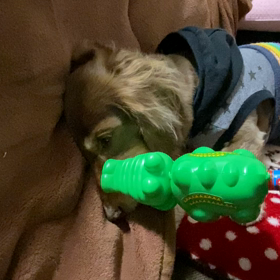 オモチャで♡の画像