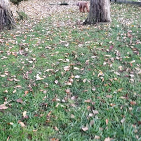 山中湖　②の画像