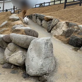 糸島ドライブの画像