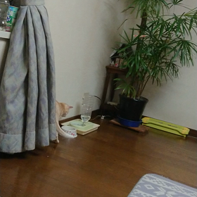 遊ぶの画像