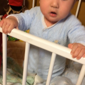 はじめての散髪 そして ひとり立ちの画像