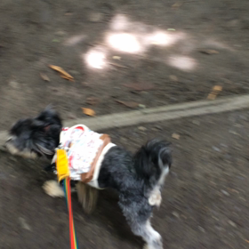 コインワンドリー？の画像