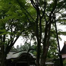 母の日にの画像