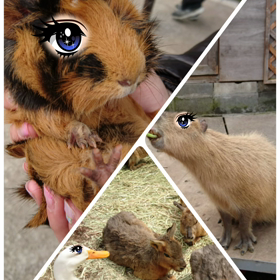 マツエク  まつ毛パーマの画像