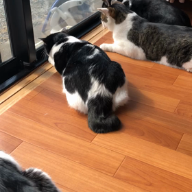 興味津々の画像