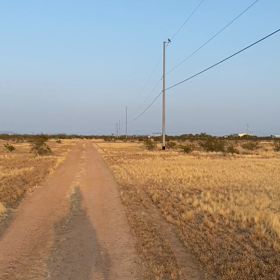 見てる！　見られてる！？の画像