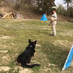 ニュート防衛の画像