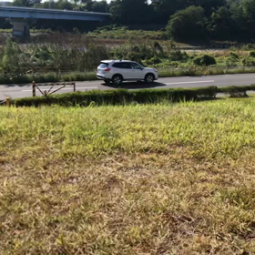 完治だそうです！の画像