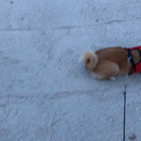 無言でサッカーの画像