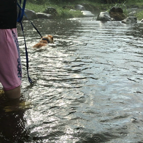 初めてのの画像