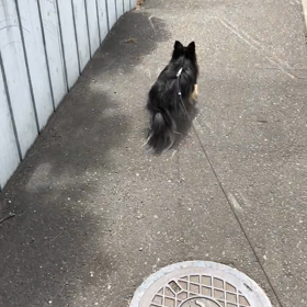 できる凶暴っち。の画像